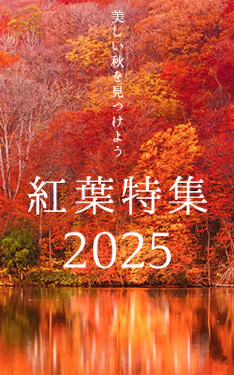 大阪・京都から約3時間！西日本最大級のゲレンデ「スキージャム勝山」20242025ウィンターシーズン完全ガイド【2024年12月21日