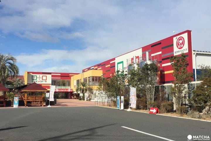 Ayo Cari Tahu Rahasia Konnyaku di “Konnyaku Park