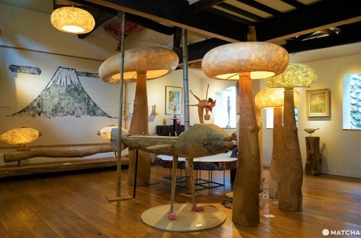Museum Tomonaga Akimitsu, Spot Seni di Tokyo yang Dikelilingi “Hutan Ajaib”  | MATCHA - SITUS WISATA JEPANG