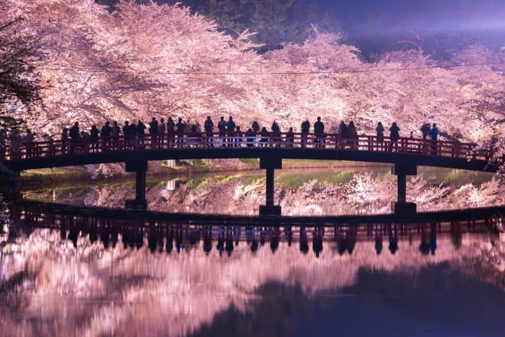 Spring Weather 2023 Spring In Japan: Traveling, Clothing, And Weather In March-May | Matcha - Japan Travel Web Magazine