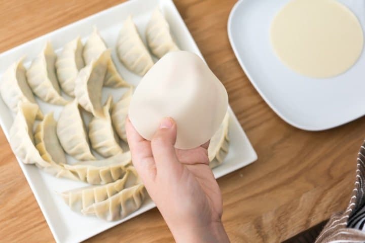 Cara Makan “Gyoza” yang Benar | MATCHA - SITUS WISATA JEPANG