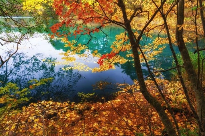 2023 Fall Foliage Top 10 Tohoku Fall Foliage Spots In 2021 | Matcha - Japan Travel Web Magazine