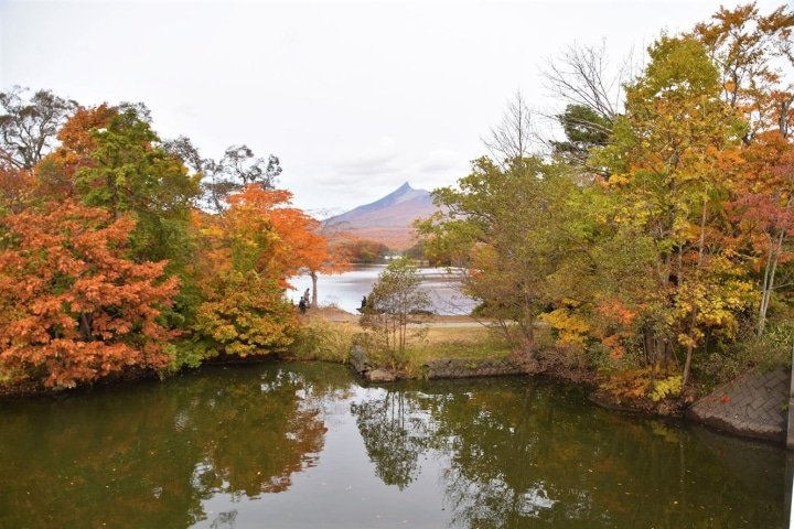 8 Mystical Spots For Autumn Leaves Near Hakodate, Hokkaido (2021) | Live Japan Travel Guide Hakodate Autumn Trip: Fall Foliage, Great Views, And Things To Do | Matcha - Japan Travel Web Magazine