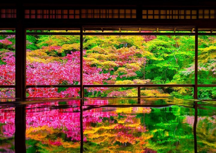 Autumn in Japan 2022 Travel and Weather for SeptemberNovember