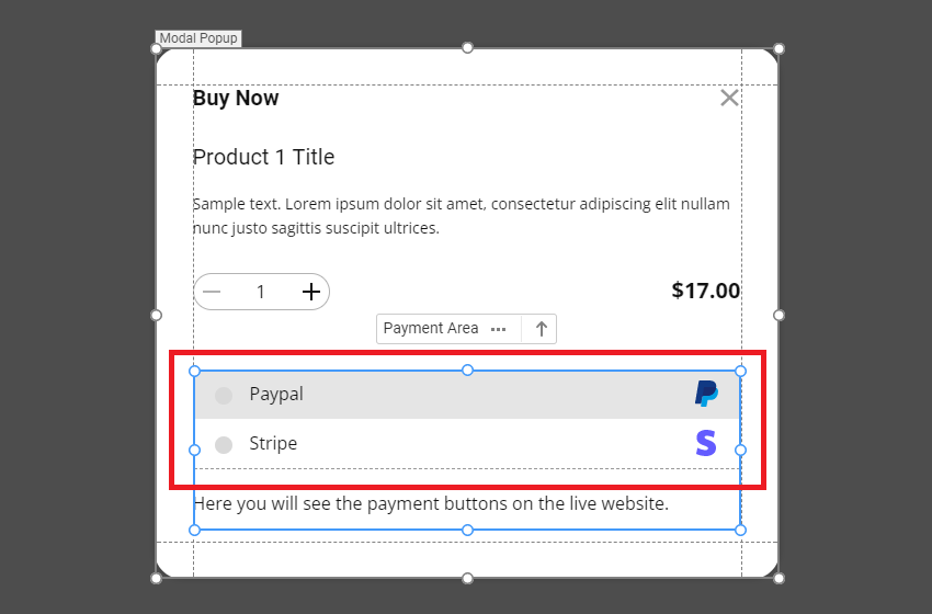 Payment Popup Nicepage Documentation