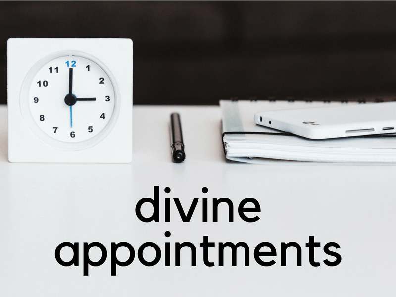Divine Appointments (SpringLife 2011) Resource Center