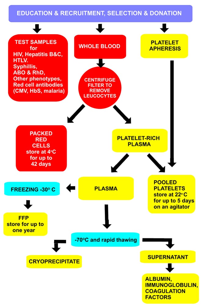 Blood Component Therapy WFSA Resources