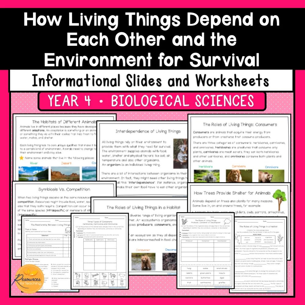 How Living Things Depend On Each Other And The Environment Resources