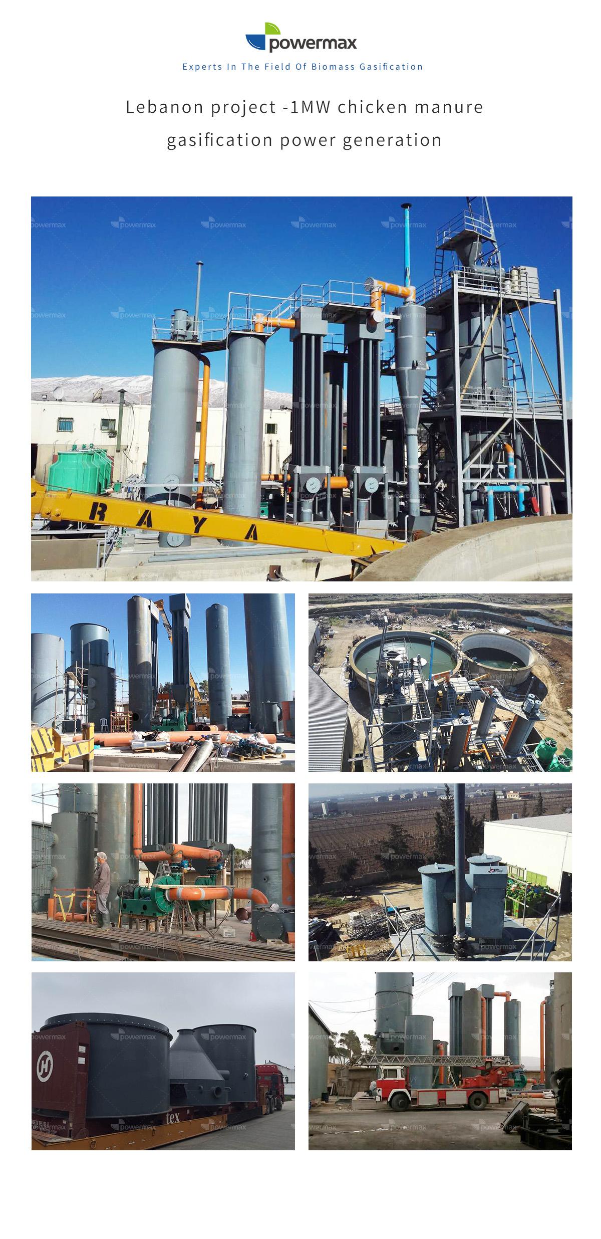 Experienced supplier of Lebanon project 1MW chicken manure