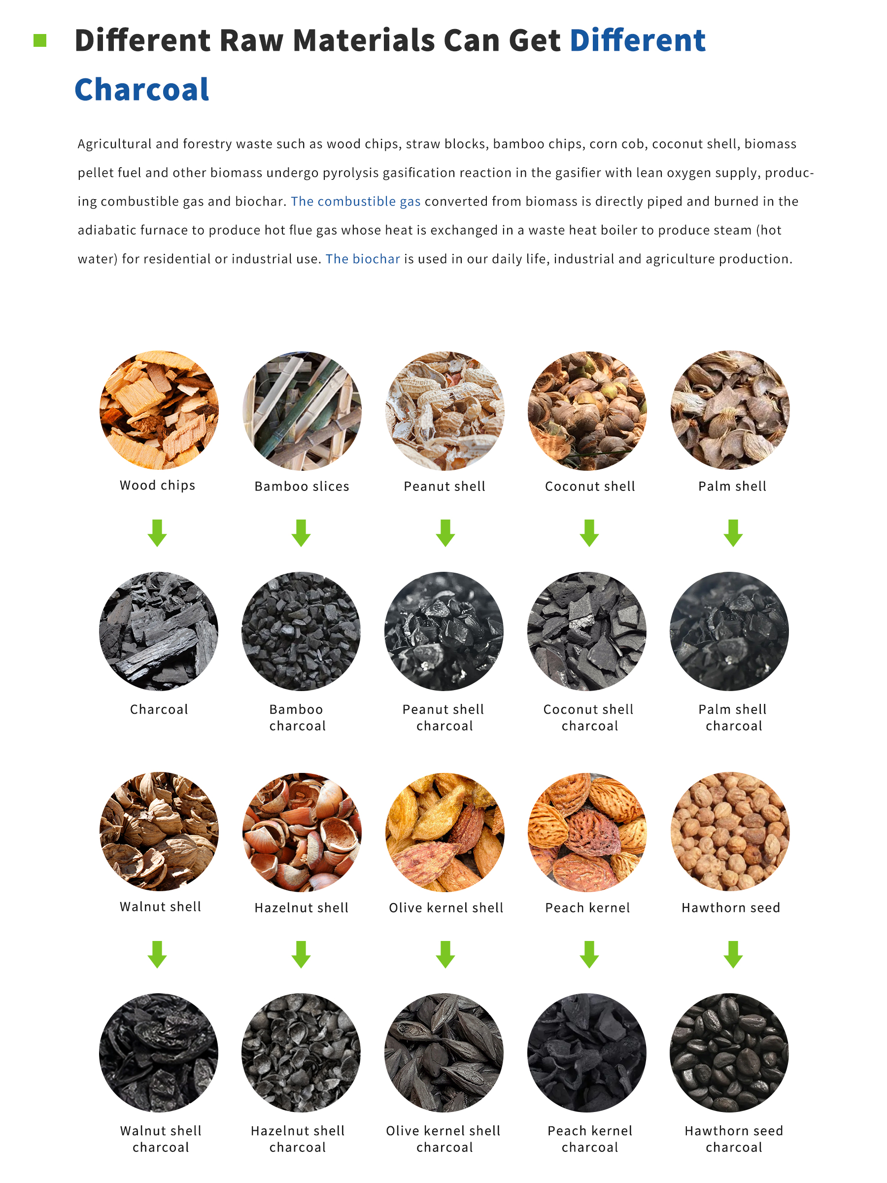 Experienced supplier of Powermax Biomass Carbon Gasification Boiler