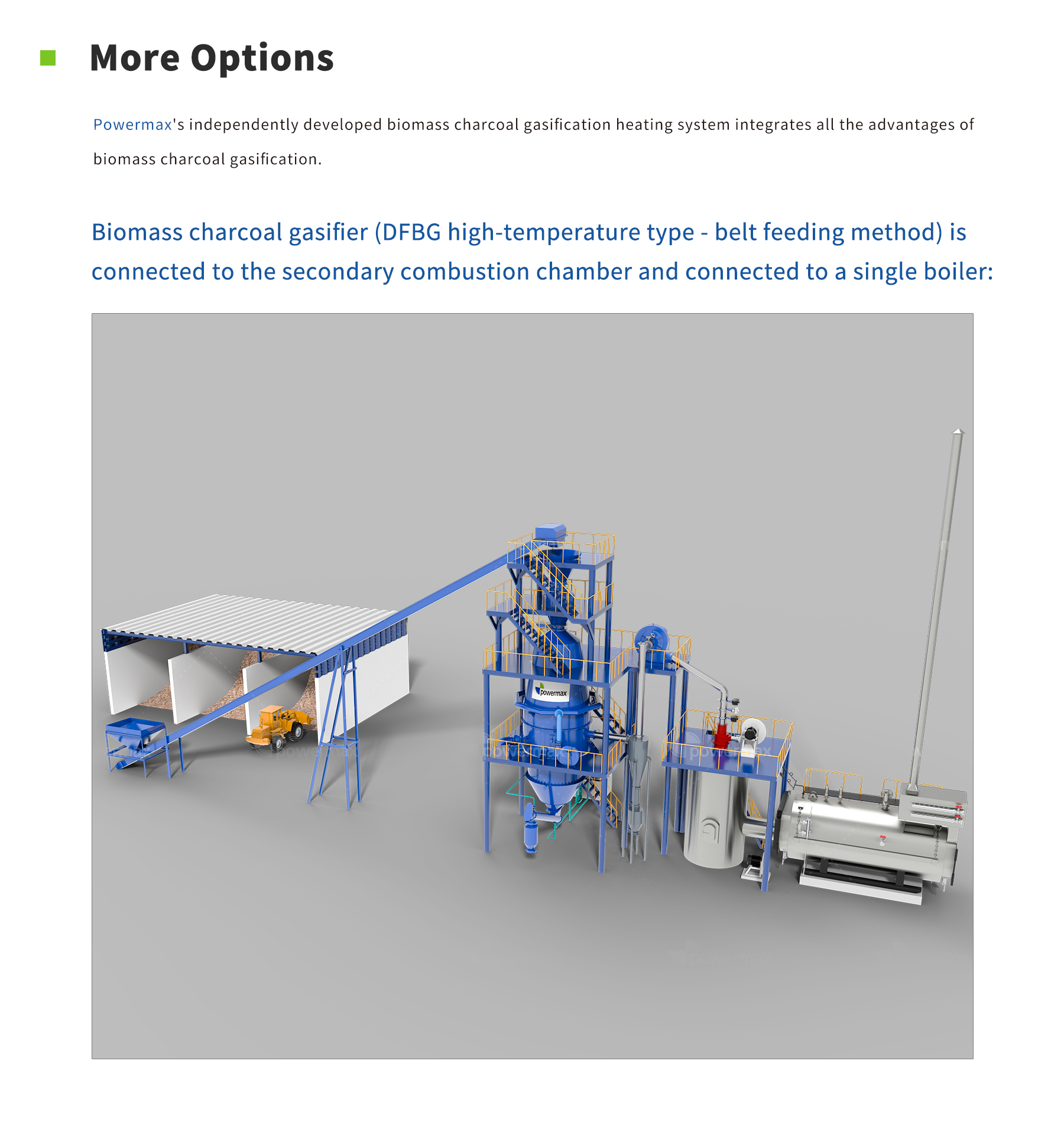 Experienced supplier of Powermax Biomass Carbon Gasification Boiler