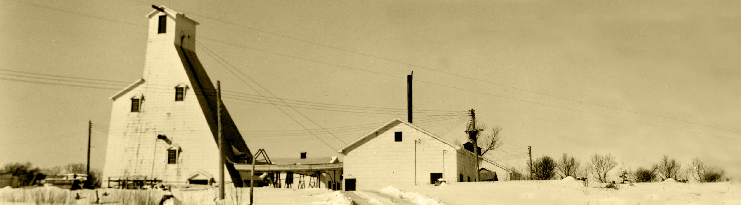 Vior samples up to 175 g/t gold, 394 g/t silver at Belleterre project, Quebec Resource World