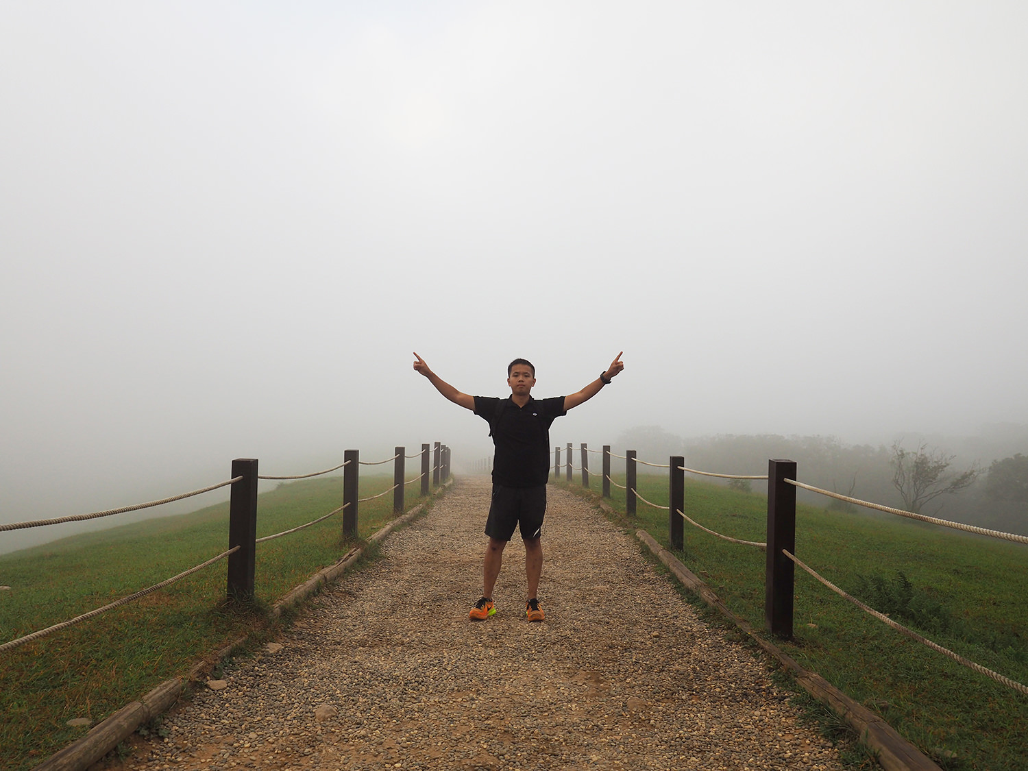 台北》陽明山國家公園 – 擎天崗大草原｜視野遼闊的草原踏青的好去處