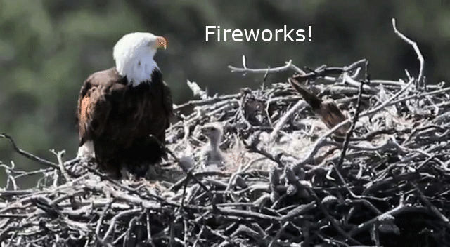 Keeping America the Beautiful this Independence Day response