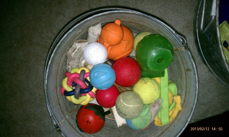 Bucket of balls and toys Responsible Dog Training Behavior Solutions