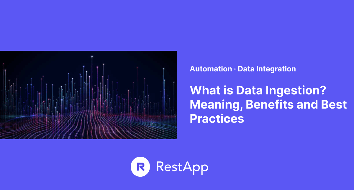 What is Data Ingestion? Meaning, Benefits and Best Practices RestApp Blog