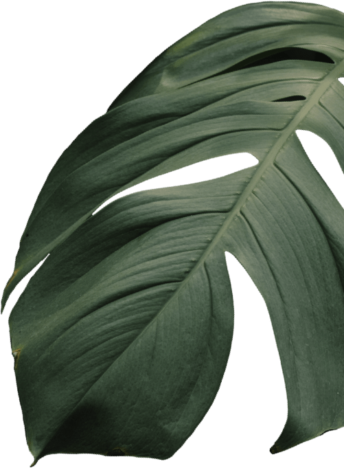 Meny Restaurang Lyckan Båstad