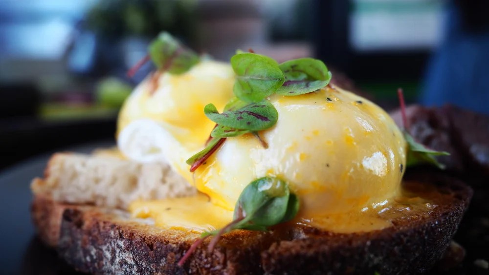 best brunch in key west 2021 Entire Duration Binnacle Miniaturas