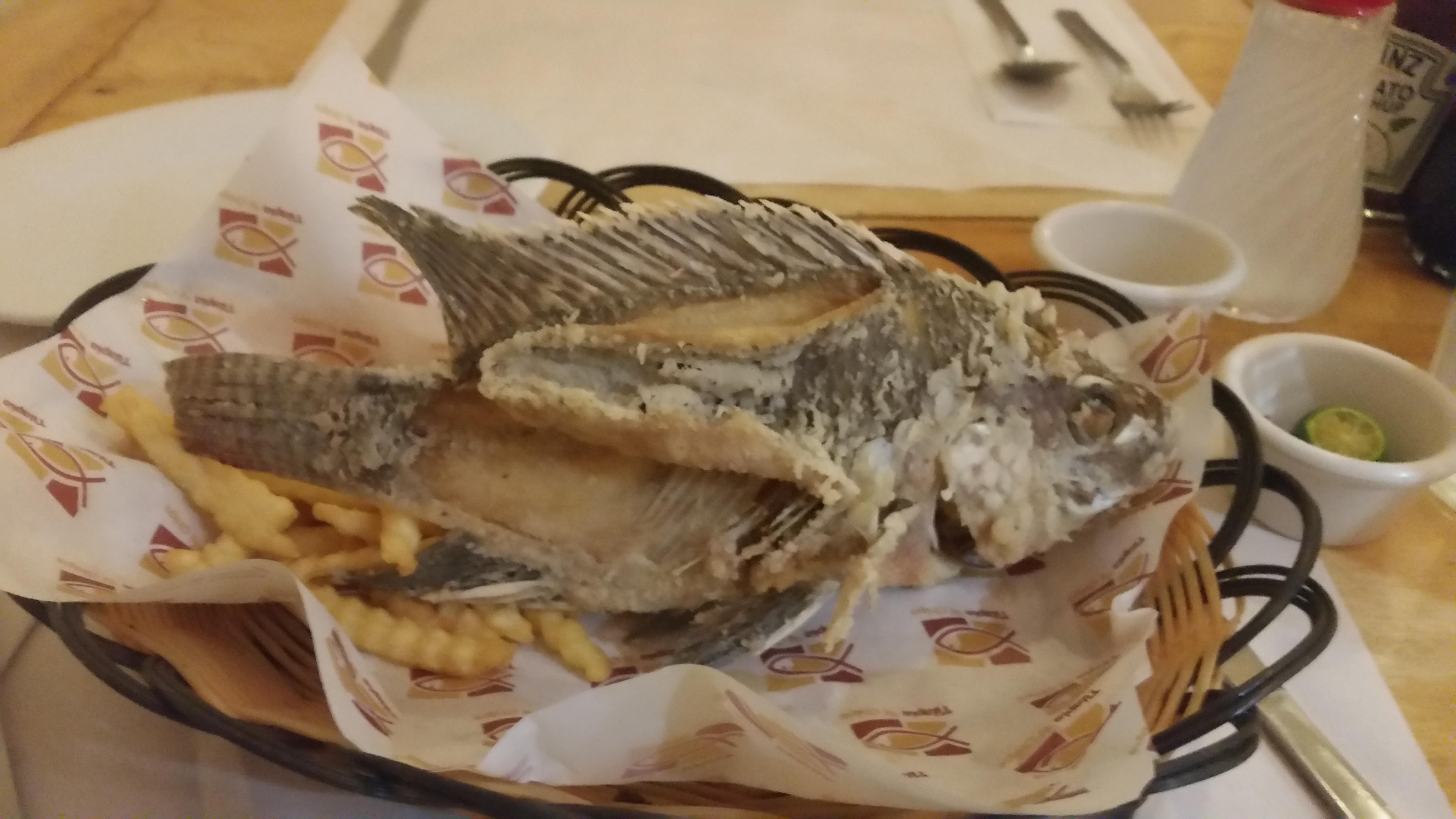 Tilapia 'N Chips Restaurant Best Food Delivery Menu Coupons