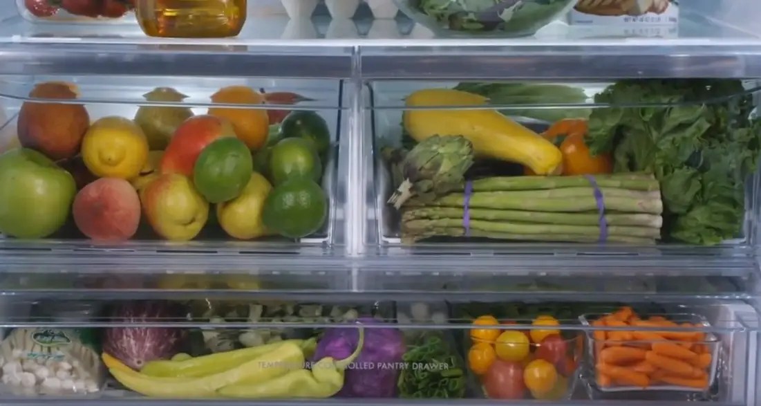 Best Fridge for Vegetarians in 2024