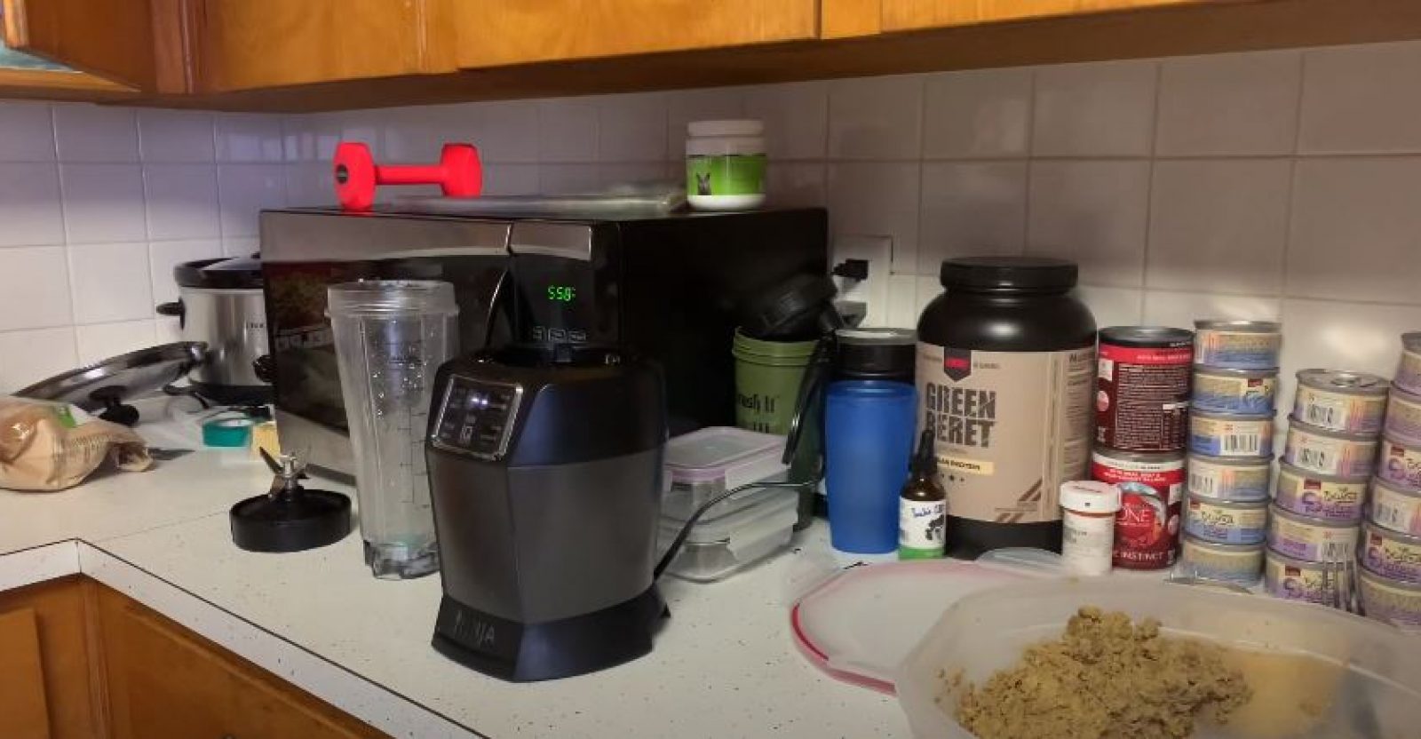 Best Blender for Dog Food in 2024