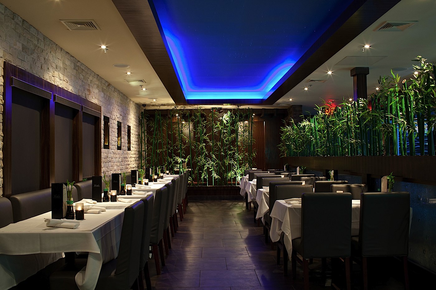 Wasabi Canton Ohio at Alva Ramer blog