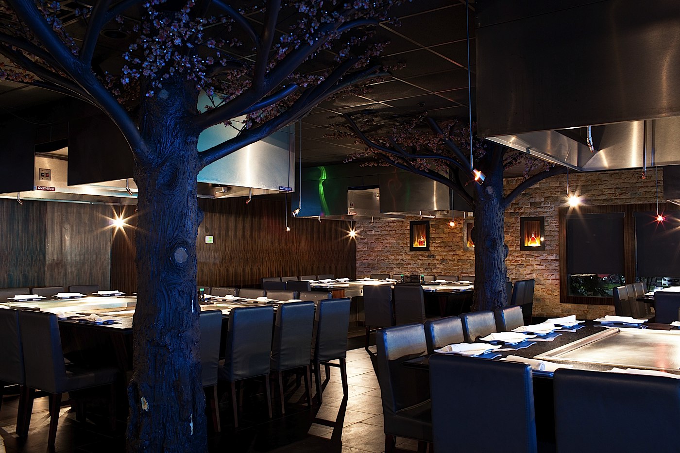 Wasabi Sushi Canton at Rosemary Spears blog