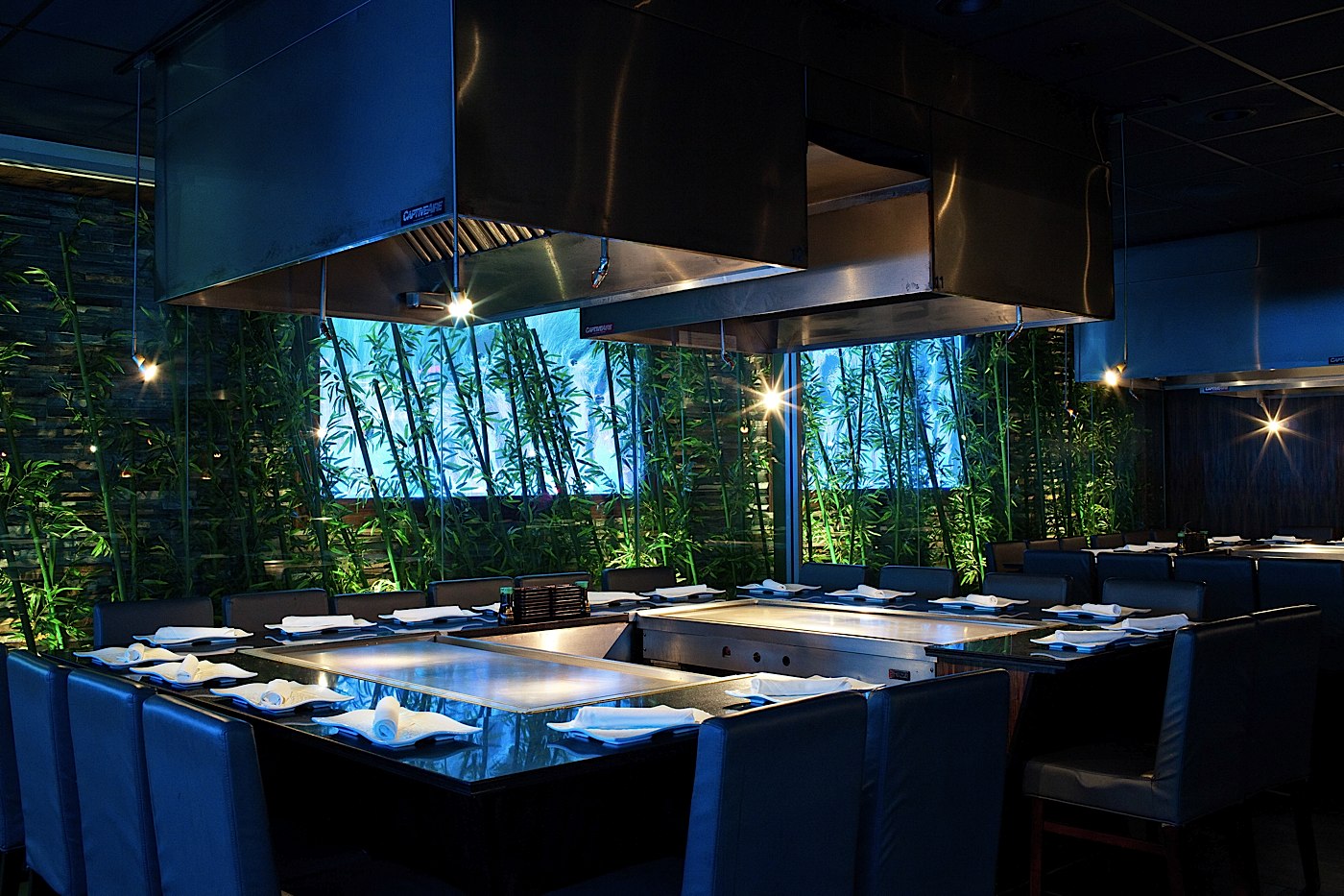 Wasabi North Canton Ohio at Pearl Irvin blog