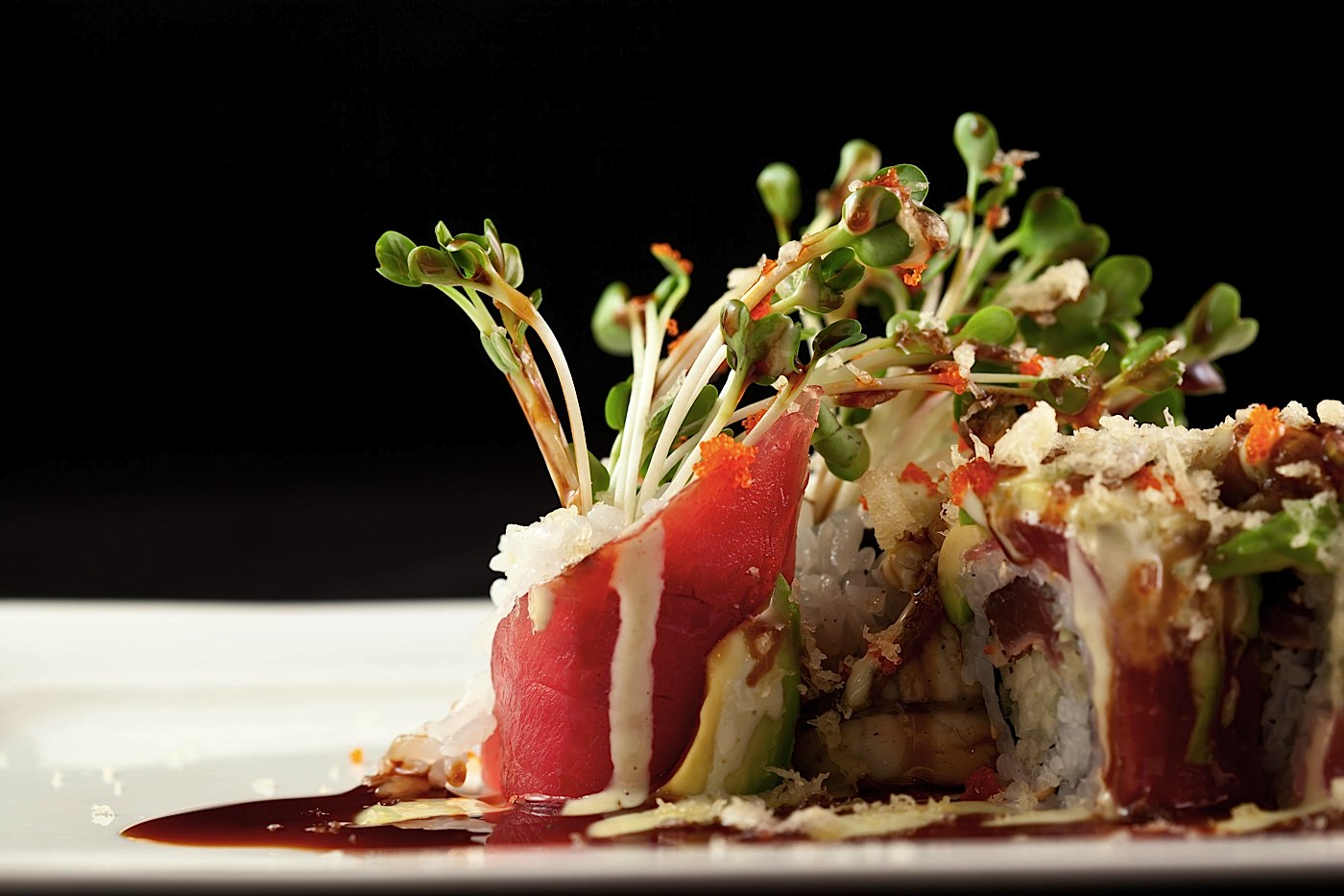 Akron Ohio Sushi, Sashimi, Hibachi and Steakhouse