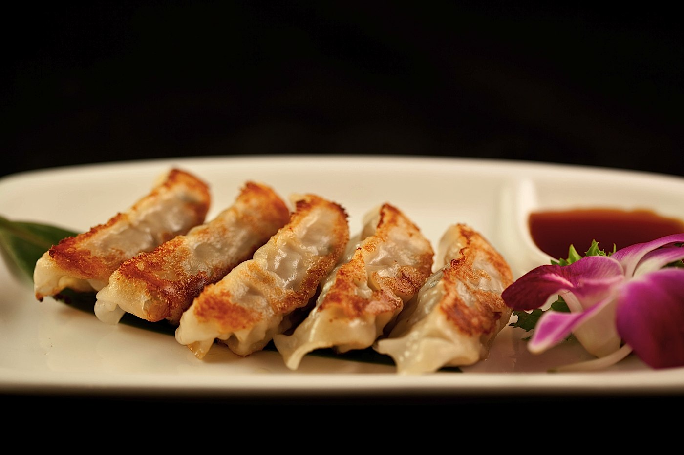 Akron Ohio Sushi, Sashimi, Hibachi and Steakhouse