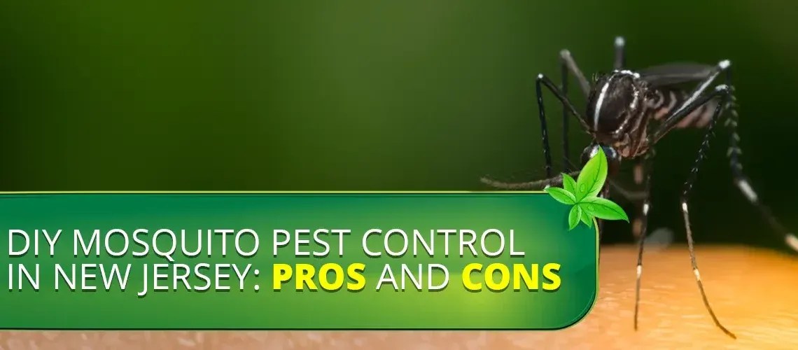 DIY Mosquito Pest Control in New Jersey Pros and Cons Rest Easy Heat