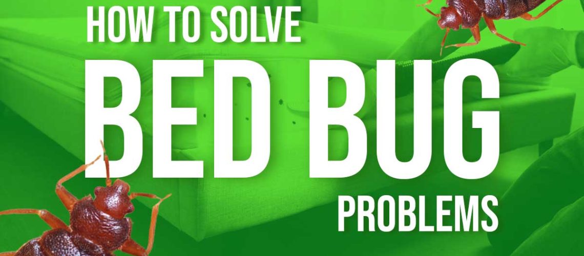How To Solve Bed Bug Problems Rest Easy Heat