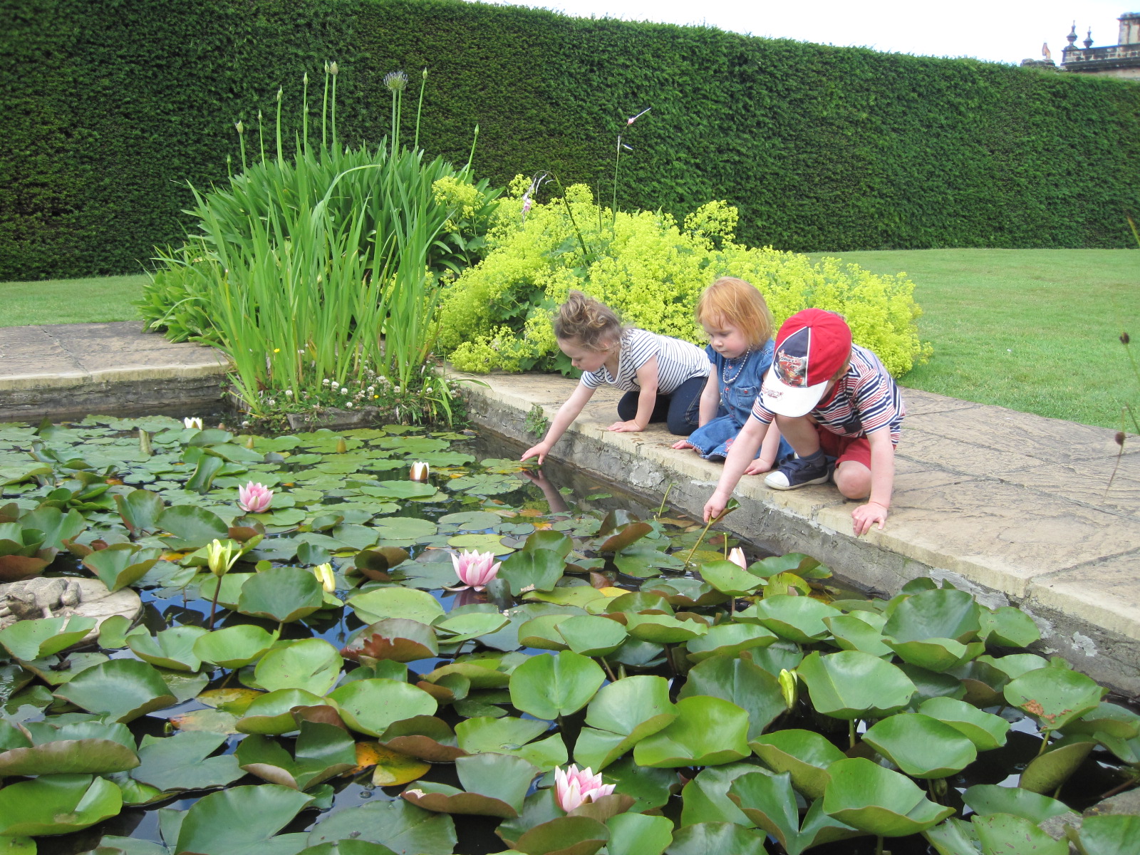 Seaton Delaval Hall gardens restlessjo