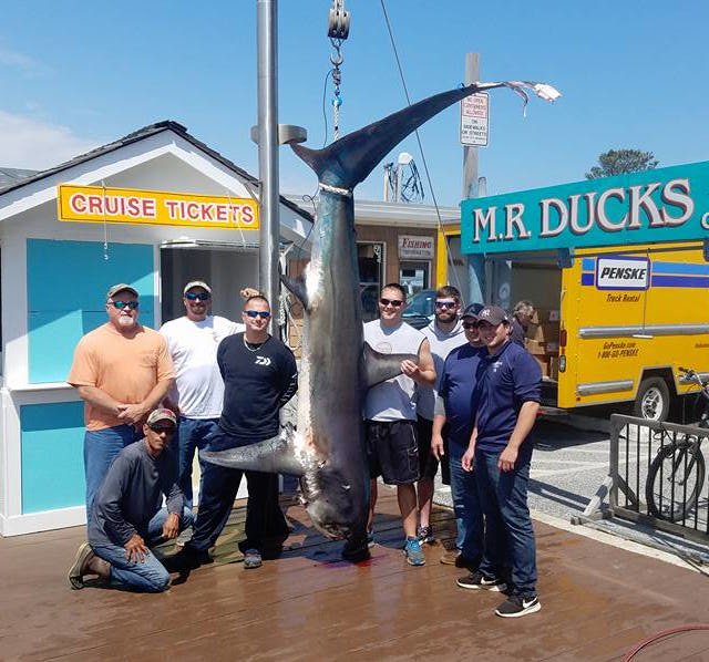 Restless Lady Fishing Charters Ocean City, MD