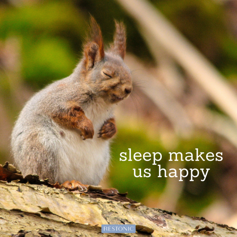 Crazy Sleep Facts About Sleep from Around the World Restonic