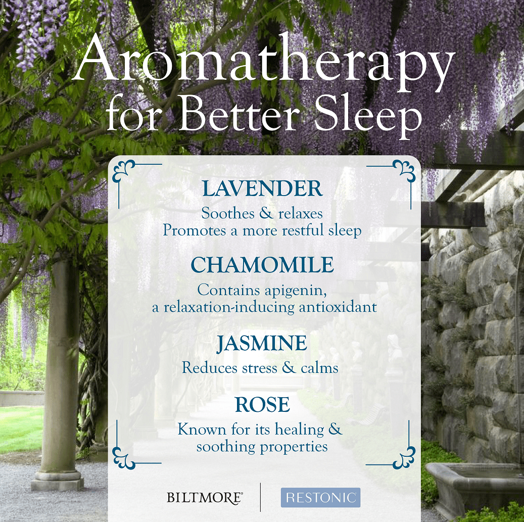 Can Lavender Really Help You Sleep Better? Restonic