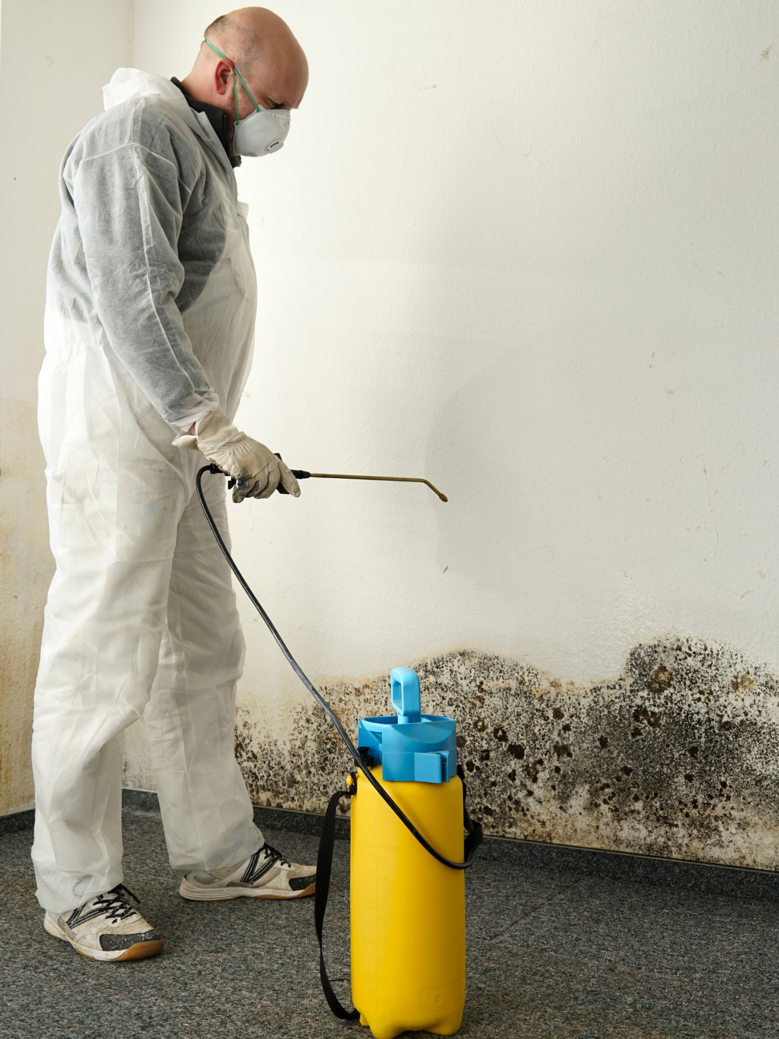 Mold Mitigation Coventry CT Restoration 1