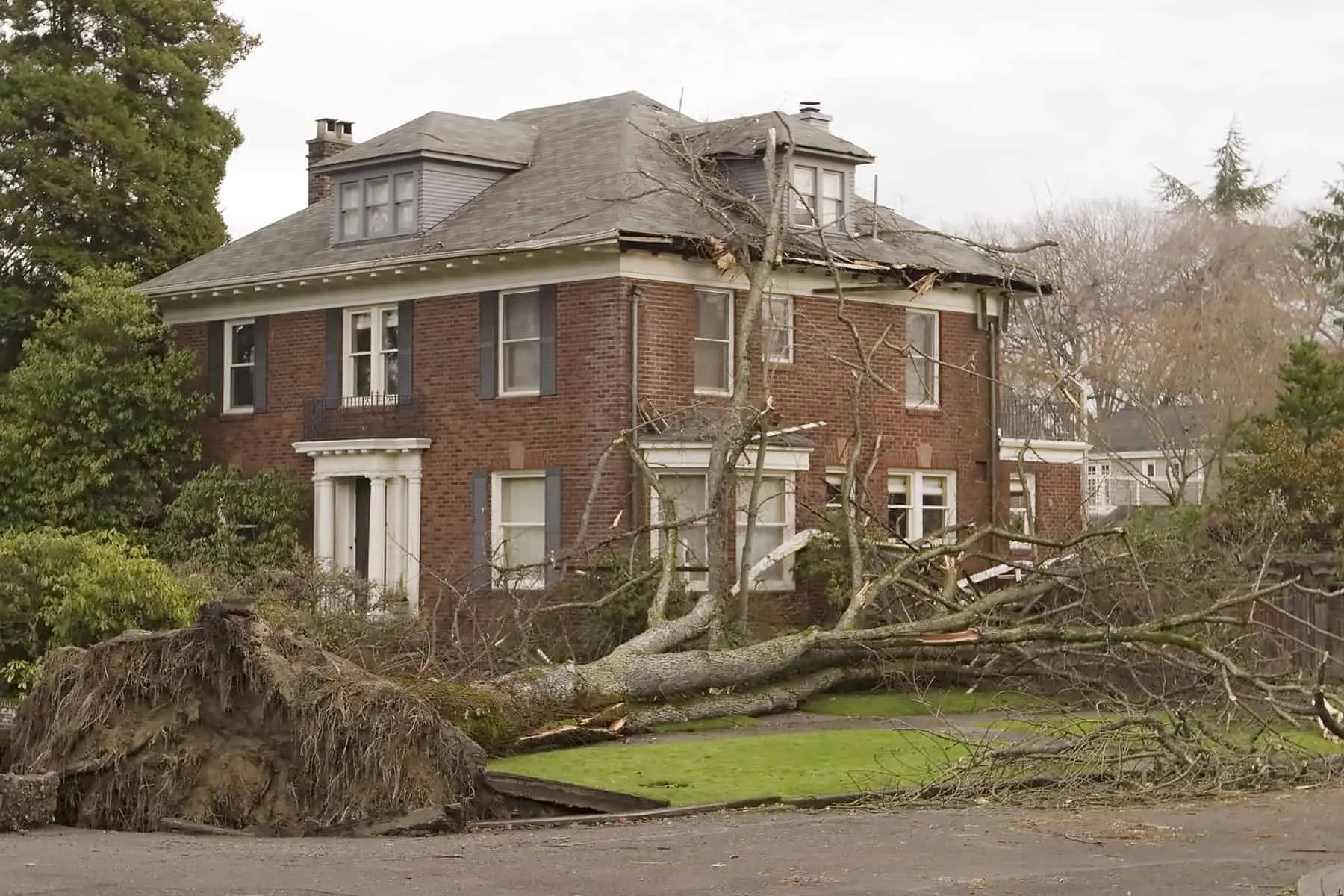 Wind Damage Roof Insurance Claims (A Guide on What To Do)