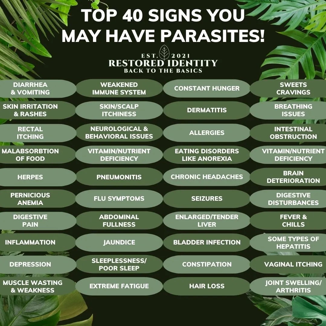 The Best Parasite Cleanse Kit (And Why You Need It) Restored Identity