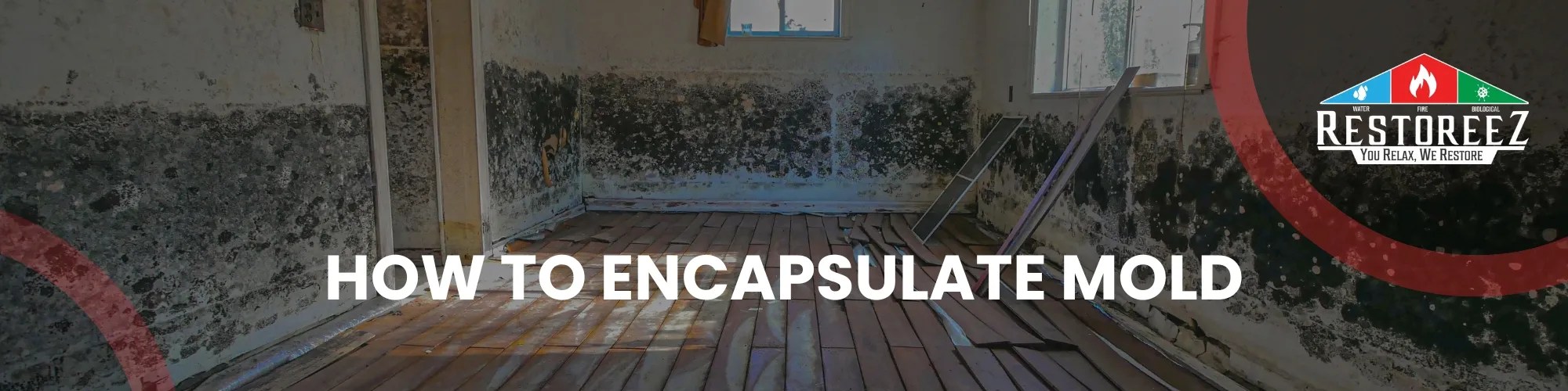 How to Encapsulate Mold?