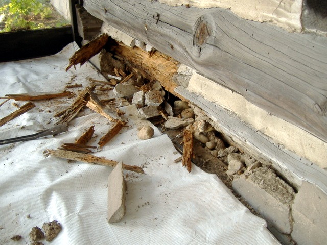Log Home Problems l WI MN Edmunds and Company