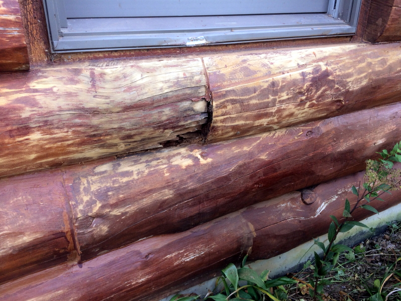 Log Home Problems Log Rot Underneath Window