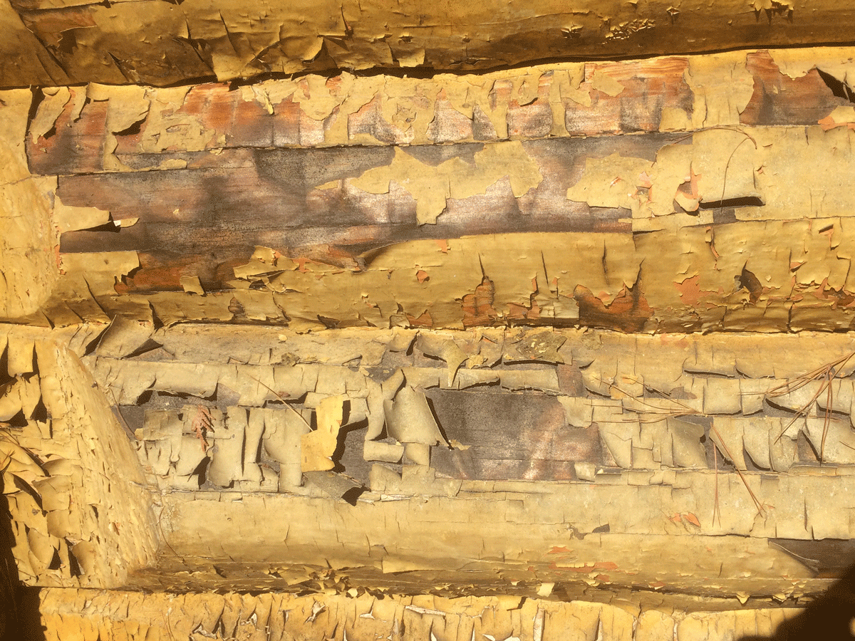 Log Home Maintenance Peeling paint