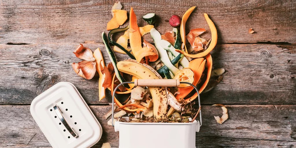 What Is Biowaste? Biological Hazard Types and Risks