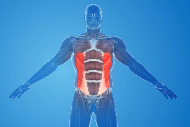 Unveiling the Benefits of a Strong Core More Than Just Abs RYC®