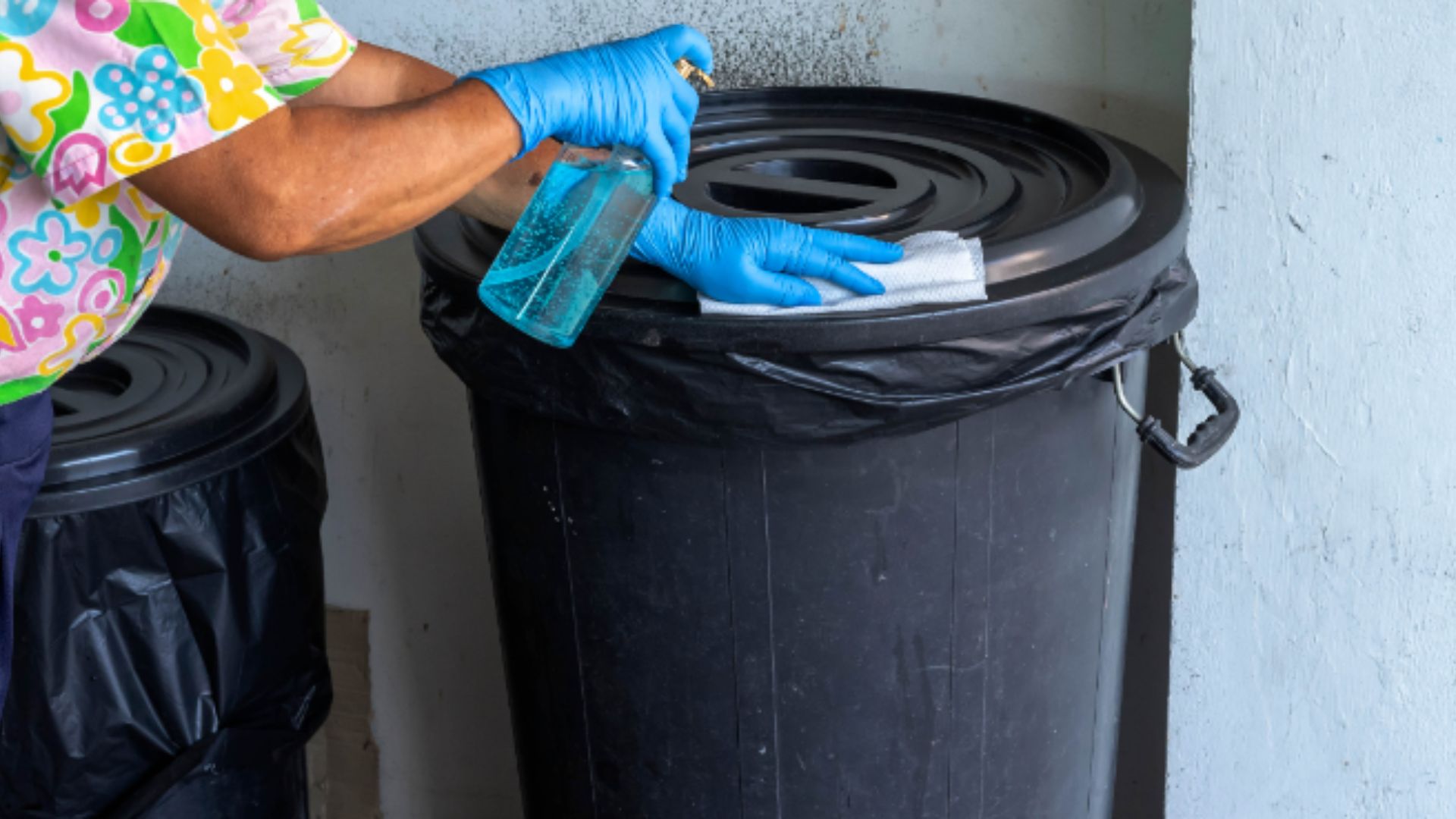 Garbage bin maintenance Keeping Waste Disposal Bins Clean