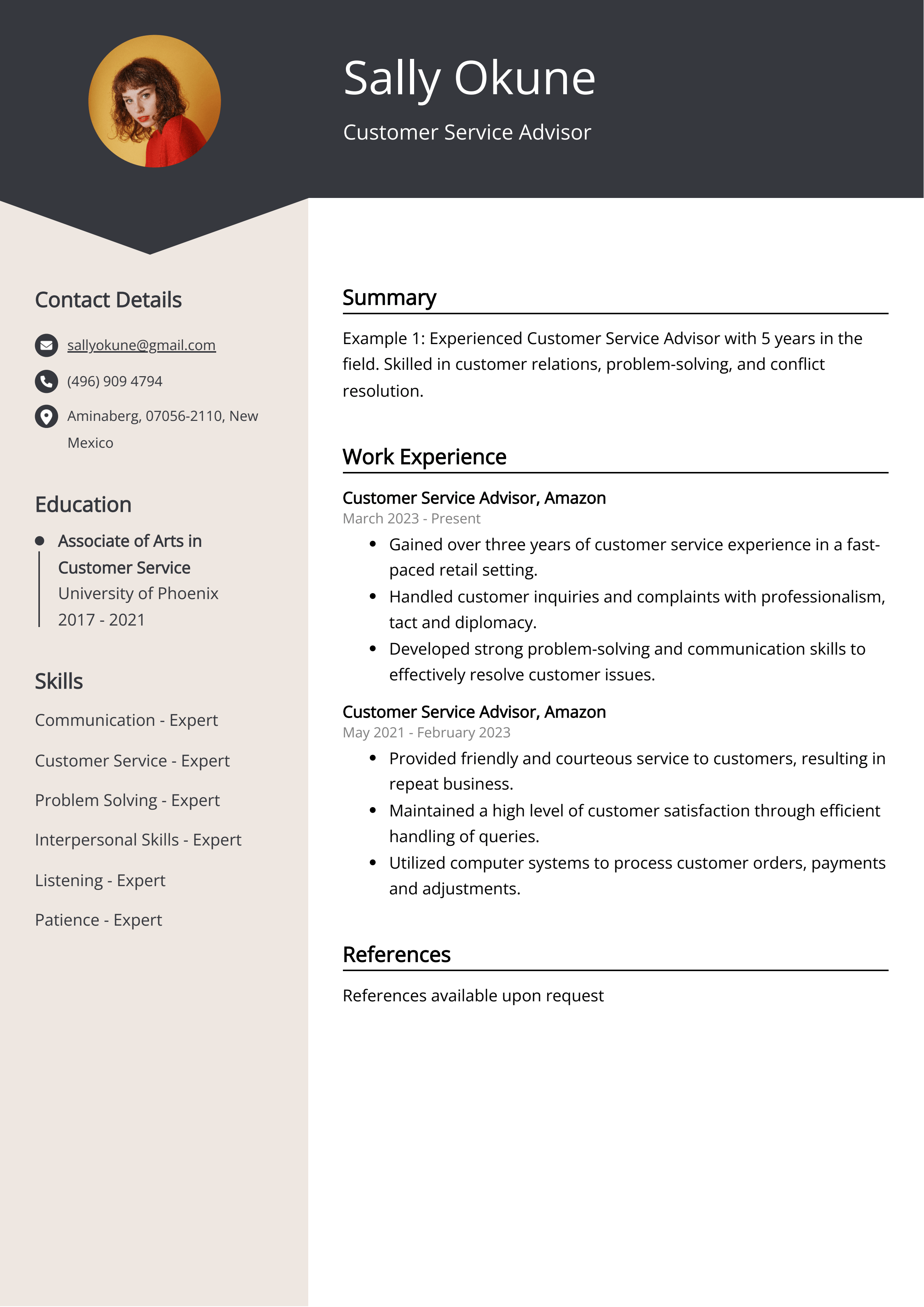 Customer Service Advisor CV Example for 2024 (Skills & Templates)