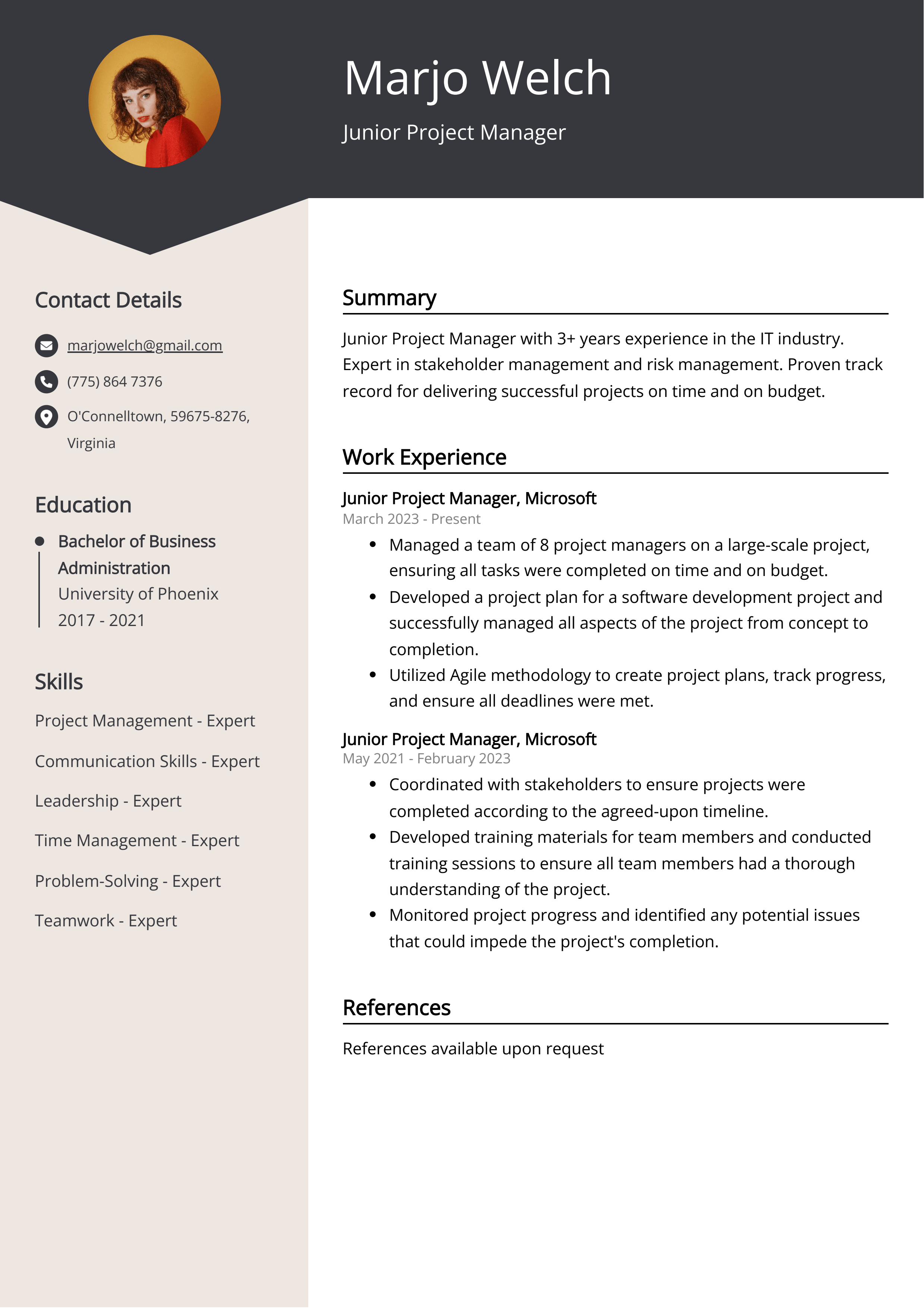 Junior Project Manager CV Sample & Guide (Entry Level & Senior Jobs)