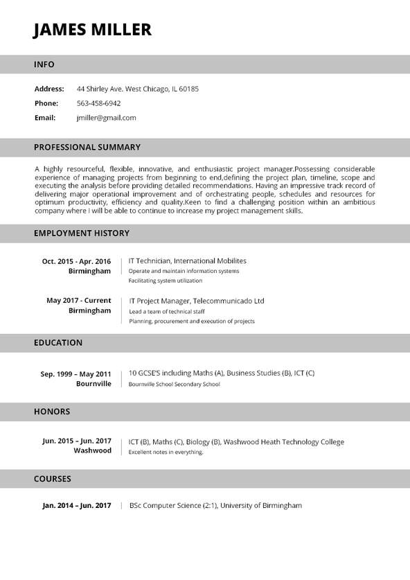 Create A Perfect Resume In 5 Minutes! Online Resume Builder