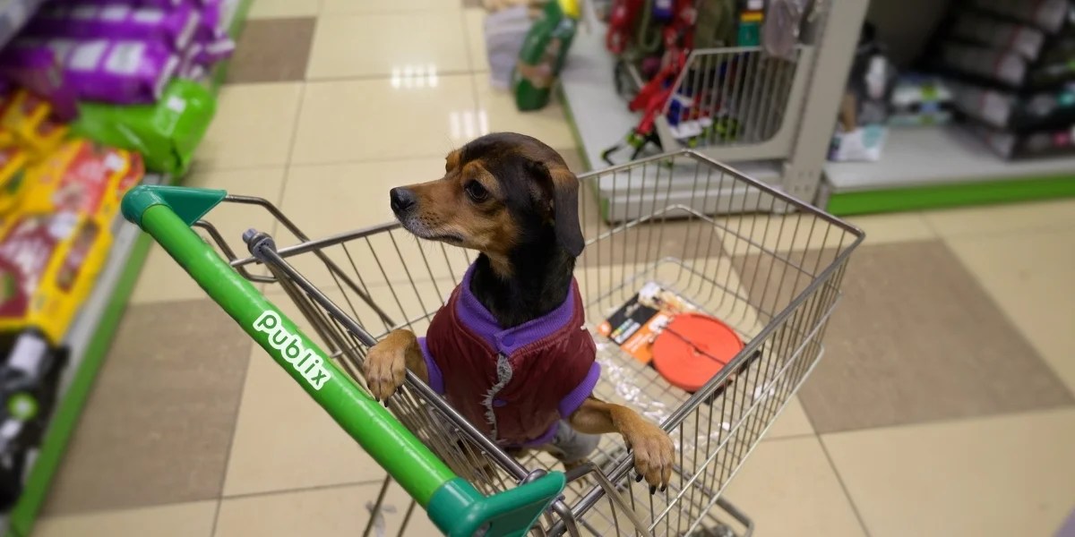 Should Publix Be Cracking Down on Emotional Support Animals? RetailWire